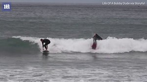 Surfin' RCA! Clever surfer catches waves on a flatscreen TV