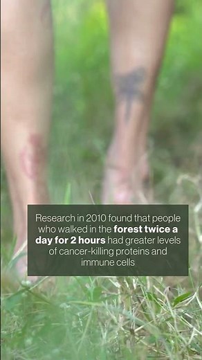 World Forest Day: Save forests before it's too late