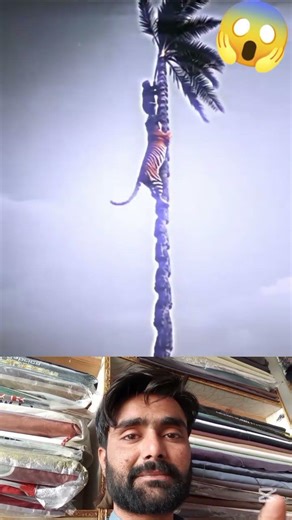 Aesa mazak kon karta he bhai 😱😯 #shorts #viral