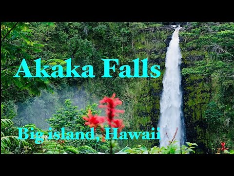 Hawaii Best Waterfalls | Akaka Falls | Big Island Hawaii
