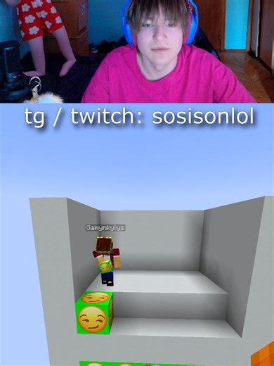 Minecraft: Sosisonlol's Adventures & Tips
