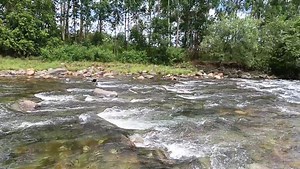 Nyamhingura river #HondeValley #Zimbabwe | Honde Valley Zimbabwe
