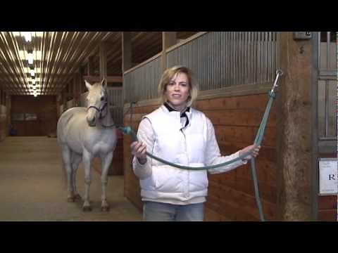The Clip and Tether Ring - Tying Your Horse Safely