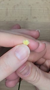 1.7K views · 55 reactions | ☂️ It is time to craft your May Flowers, and why not start with this felt version of a pretty Lily of the Valley? We have templates and tutorials for you right here! https://liagriffith.com/felt-lily-of-the-valley/ | Lia Griffith - Handcraft Your Life | Facebook