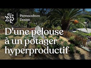From a lawn to a highly productive permaculture vegetable garden
