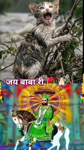 बाबा रामदेव जी 🚩 🙏🏻Jay Baba ri #bhakti #shorts #ytshorts #viral #shot #baba #ramdevra #ramdevji#2026