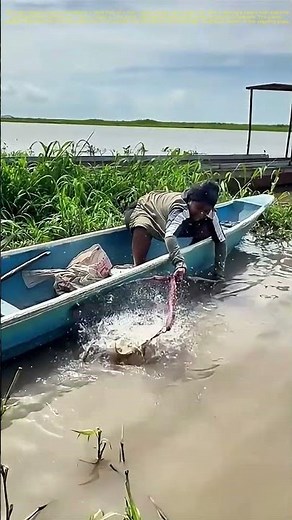 Woman Catching Fish in the River with a Net