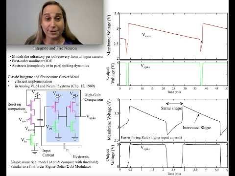 Integrate & Fire Neuron Circuit