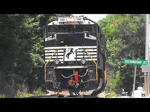 Amtrak, CSX, MARC, & Norfolk Southern Trains in Shenandoah Junction