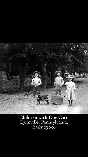 This early 1900s photo by Dr. Robert Judson Fly captures three children in Lynnville, Pennsylvania, with their dog pulling a wooden cart. The barefoot boys and well-dressed girl reflect both play and pride in a rural town setting. #Restore #adobePhotoshop #HistoryLovers #VintagePhotography #PennsylvaniaHistory #AmericanHistory #ChildhoodPast #SmallTownLife #VintageChildhood | Memory Lane Photos
