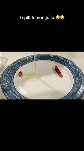 takis vs hot Cheetos #takis