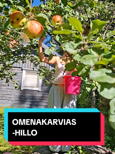 Omenakarviaishillo Ohje: Helppo ja Herkullinen Hillo