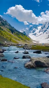 9.4K views · 202 reactions | Free Tibet | ཐུ་བྷོད་འཕྲིན་ལམ། Tibet Channel | Facebook