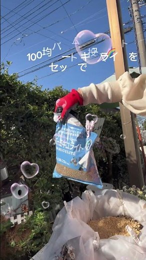 【春のガーデニング】100均DIYでおしゃれな寄せ植え作り！レトロなかごに春の花が満載#ガーデニング #園芸#寄せ植え