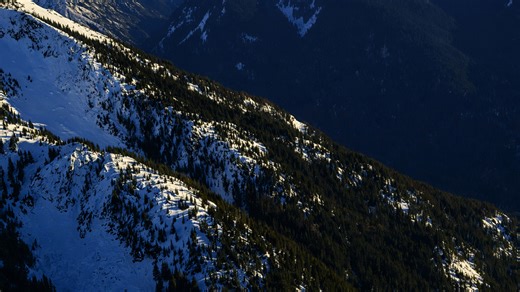 Snow covered mountains blending with dense green forests