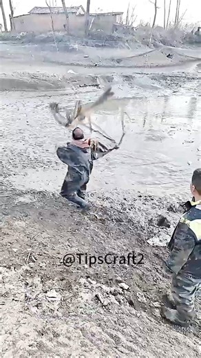 🎣Fishing with nets in rural ponds