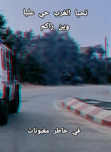 Vidéos de Amire Amire (@user8193956878023) avec son original - Cheb Akram Parisien