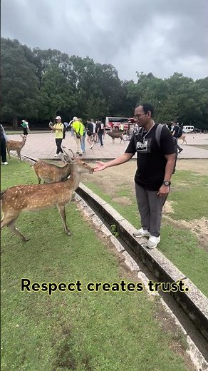 Nara Deer Looks Cute… But Watch This 😳