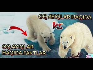 OQ AYIQLAR HAQIDA FAKTLAR