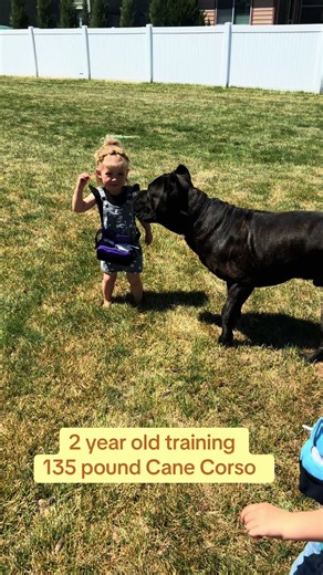 Creative Ways to Use a Toddler's Fanny Pack