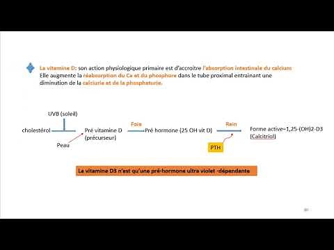 Endocrinology Course (video 7) | Parathyroids