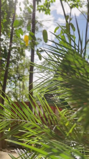 Here you go! Our Aranya Resorts DRT experience 🍃 Our personal reminders if you want to visit: 1. Bring a smart / tnt sim for data 2. Bring water, snacks and cooked food. Paluto of canned goods is 150 per paluto. 3. Go during low season or weekdays. The lagoon isn’t too big so it will get crowded if you visit during peak season 4. They have a phone to call the staff but it’s solar powered so it gets disconnected when it rains. Bring or ask for an umbrella so you can walk to the HBar and order fo