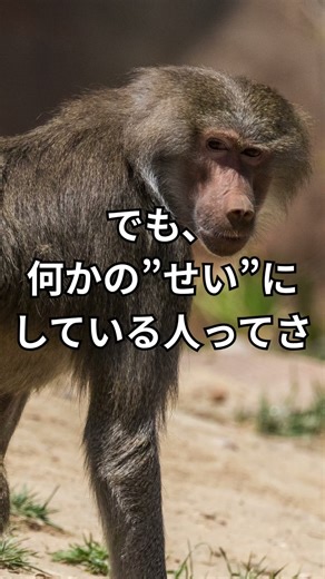 人のせい #www #小学生テスト #考える #小学生テスト #考える #強みの見つけ方 #雑学 #教育