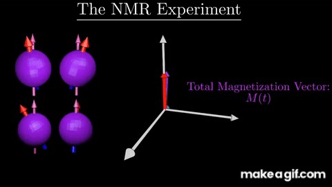 How MRI Works - Part 1 - NMR Basics on Make a GIF