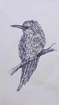 Step-by-Step Guide to Bird Art Techniques