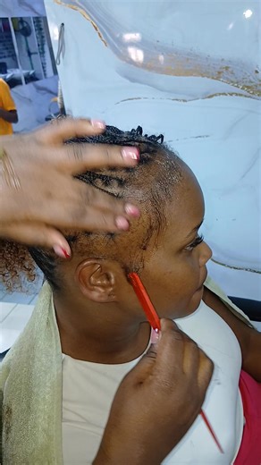 Stylish Mini Braids with Human Hair Extensions