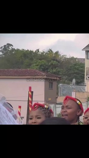 #SAMA28 #zuluculture #trending #tribes #african #traditional #cultural #dance #traditionalwear #traditionaldance #southafrica #zuludance #culture