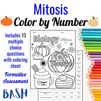 Mitosis Thanksgiving Color by Number – Cell Division Biology Review Activity