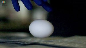 Bored of your traditional eggs? We've got a new one for you--here's how to make an egg bounce. | Reactions