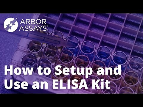 How to Setup and Use An ELISA Kit - Arbor Assays