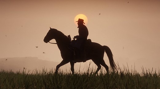 Red Dead Redemption 2 guide to your controller