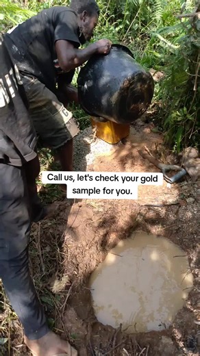 Test Your Gold Sample with Expert Assistance