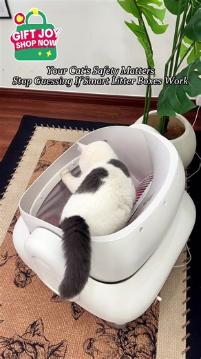 Luxury Litter Box for Cats: Safety Tested with Pippy