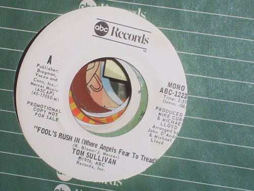 Tom Sullivan - Fools Rush In (Where Angels Fear To Tread)