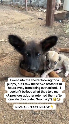 READ CAPTION 👇🏻