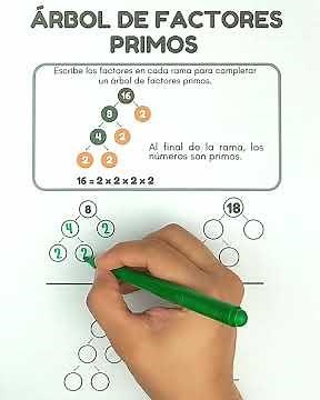 How to DECOMPOSE NUMBERS into Prime Factors (Factor Tree Method) 🌳🔢
