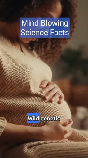 William Alexander | Build. Play. Discover. on Instagram: "Most people think it’s part of the mom… but science says otherwise. Genomic imprinting, epigenetics, and some serious immune magic 🤯 #pregnant #pregnancy #parents #baby #pregnanttok #fyp #foryourpage #facts #science"