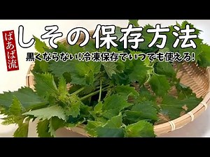 しその保存＆活用 鮮やかな色で冷凍保存！おにぎりやお弁当お餅にも♪