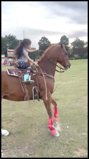 🏅La vaquera de Miami, sin duda, se robó todas las miradas y los likes de los seguidores del Rodeo Cubano en el mundo, rompiendo récords y dejando su huella. 🏆Además, ganó su primer campeonato en Barriles, en el David Pro Rodeo en Florida. Cuando todo apuntaba a seguir su ascenso, lamentablemente tuvo que someterse a una operación de urgencia. ℹLe deseamos un feliz y próspero año a Aitana Santana, que ya está retomando su carrera, preparando un nuevo caballo y comenzará este año con mucha fuerz