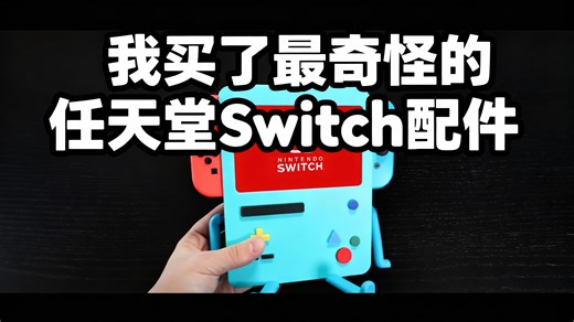 [中配]我买了最奇怪的任天堂Switch配件 - ImNotaCasualty