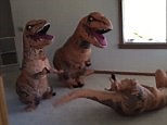 Rex-around-the-rosy: Family dance around in T-rex costumes