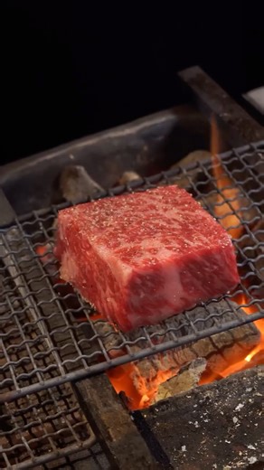 Humans of Wagyu (ヒューマンズ・オブ・和牛) by Coltive on Instagram: "We visited 肉割烹 新辰 (@aratatsu_niku), a newly opened Niku Kappo restaurant in Osaka that opened in October 2025. This was an Ohta Gyu Striploin grilled using Tosa Binchotan, considered one of the best charcoals in the world. 📍 Niku Kappo Aratatsu (肉割烹 新辰) @aratatsu_niku 2-6-7 Nishishinsaibashi, S-Front Dotonbori 5F, Chuo-ku, Osaka, 542-0086 — ✉️ Save this post for your next Wagyu trip to Japan 🌎 Follow @humansofwagyu for deeper stories fro