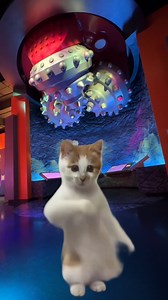 Just a Saturday (Caturday!) reminder that The Wiess Hall of Energy will be closed to the public until Monday, March 4, 2024. | Houston Museum of Natural Science