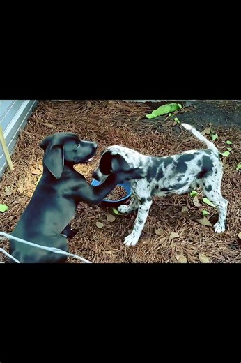 Invisible effects test