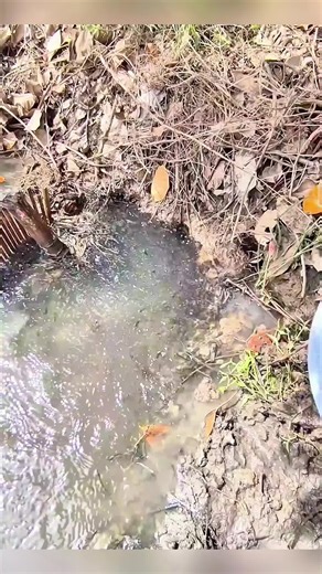 Gunung Semeru Erupsi Lagi pada 19 November 2025