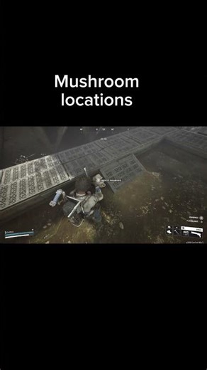Mushroom Locations Dam Battlegrounds Solo Adventures Arc Raiders